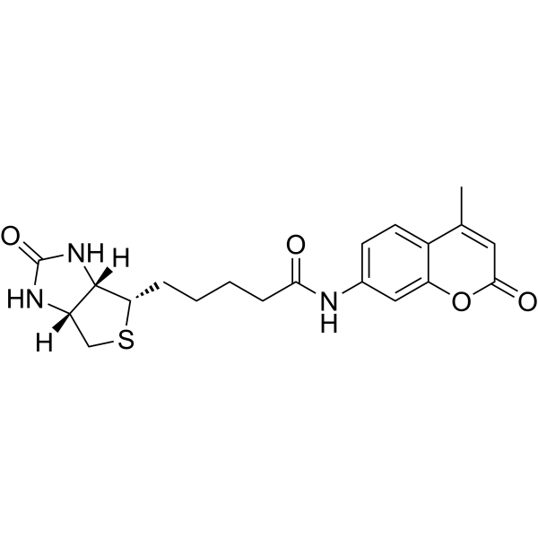 N-d-Biotinyl-7-amino-4-methylcoumarin 191223-35-5